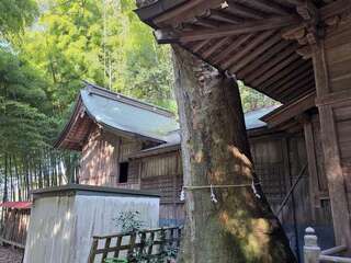 [写真]