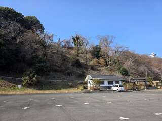 [写真]