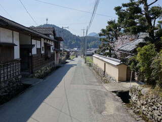 [写真]