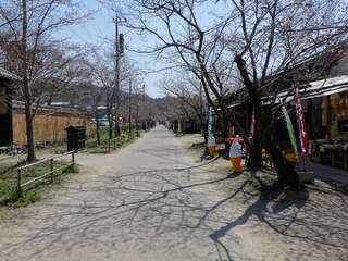 [写真]