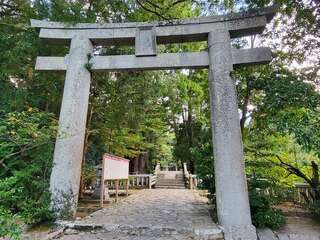 [写真]
