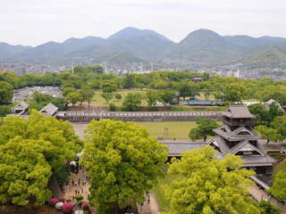 [写真]