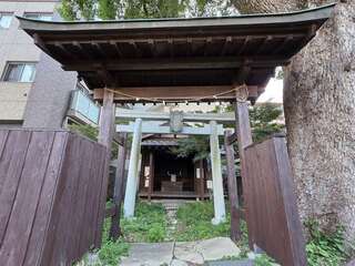 [写真]