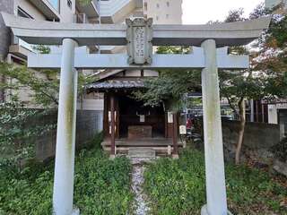 [写真]