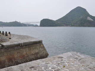 [写真]