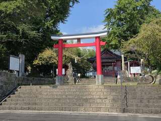 [写真]