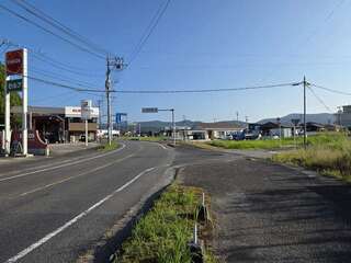 [写真]
