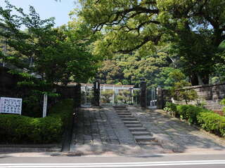 [写真]