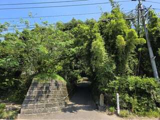 [写真]
