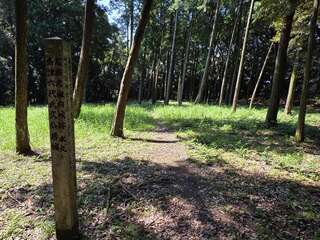 [写真]
