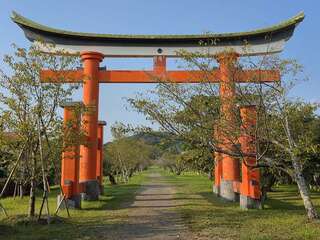 [写真]