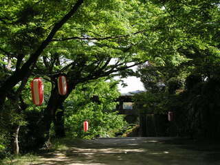[写真]
