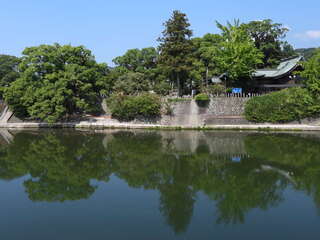 [写真]