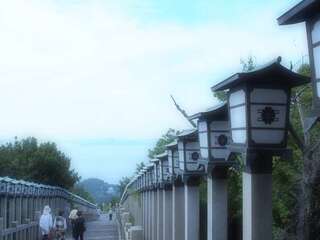 [写真]