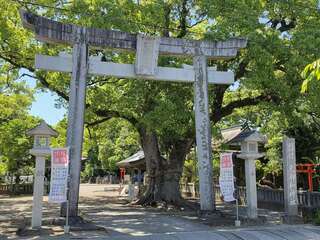 [写真]