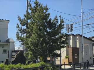 [写真]