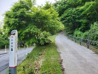 [写真]