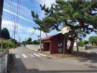 [写真]