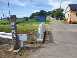 [写真]