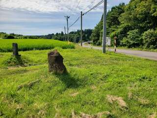 [写真]