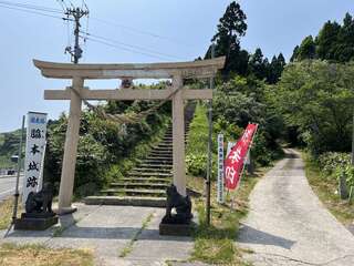 [写真]