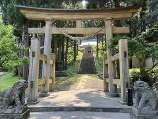 [写真]
