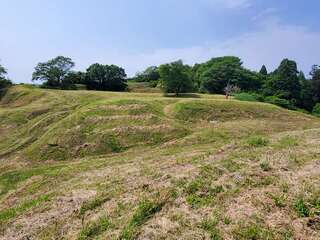 [写真]