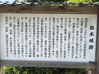 [写真]