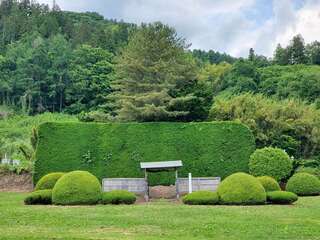 [写真]