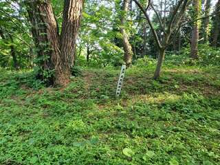 [写真]