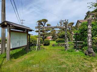[写真]